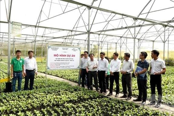 Châu Pha nỗ lực xây dựng mô hình “xã thông minh” vào năm 2030