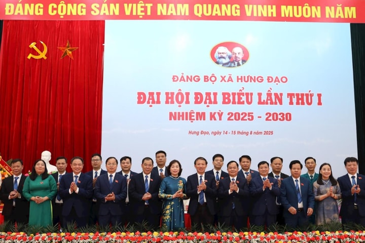 Phát triển xã Hưng Đạo theo hướng nông thôn mới nâng cao gắn với đô thị bền vững