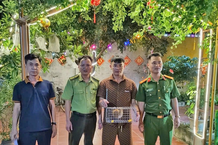 Chi cục Kiểm lâm Hà Nội: Tăng cường quản lý, bảo vệ động vật hoang dã