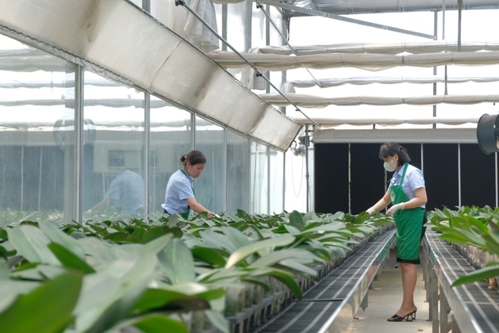 Đảng bộ Sở Nông nghiệp và Môi trường Hà Nội: Phát triển nông nghiệp xanh, tài nguyên bền vững
