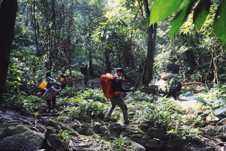Ninh Bình: Kiểm soát chặt chẽ hoạt động trekking sau vụ du khách tử vong trong rừng Cúc Phương