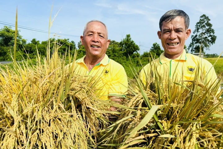 Bình Điền: Hành trình hơn nửa thế kỷ phụng sự nông dân và tầm nhìn xanh hóa - số hóa