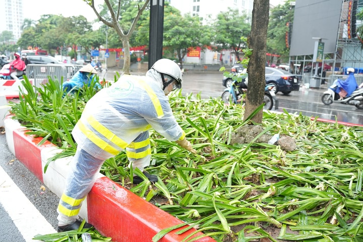 Bãi cỏ, bồn hoa tơi tả sau đêm tổng hợp luyện lần 2