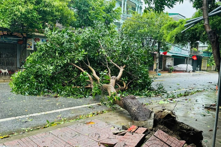 Mưa lớn, gió to, nhiều nơi ở Thanh Hóa - Nghệ An - Hà Tĩnh đã thiệt hại tài sản