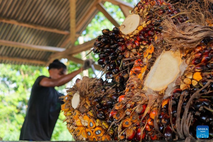 Mỹ miễn thuế một số hàng hóa của Indonesia