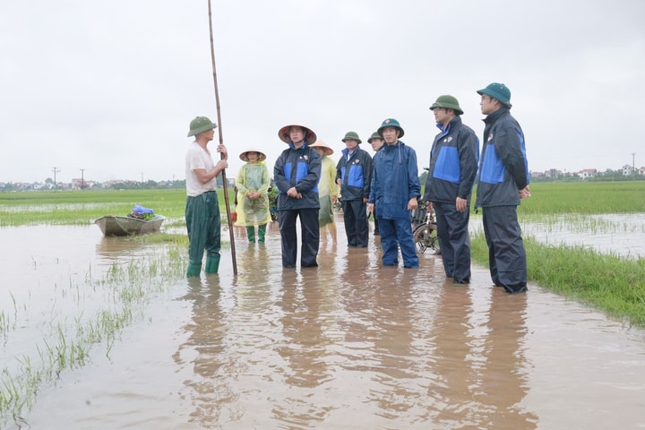 Xã Cổ Đô chủ động ứng phó mưa lớn, khắc phục úng ngập, sạt lở