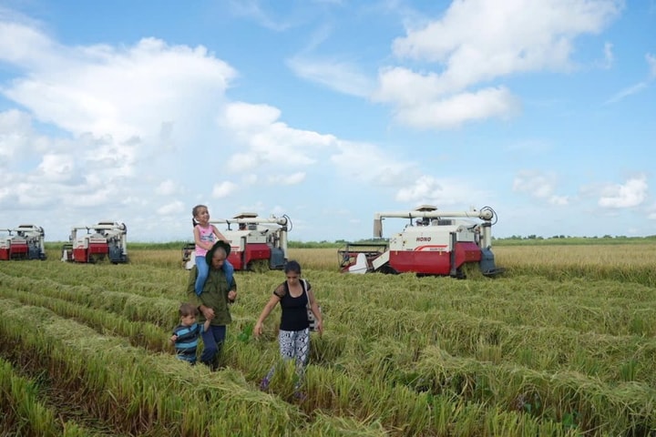“Hạt giống hạnh phúc”: Biểu tượng hữu nghị Việt Nam - Cuba