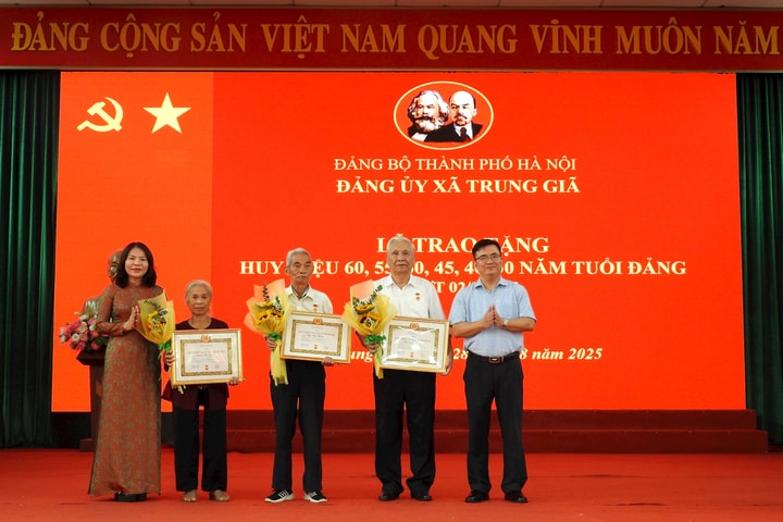 Xã Trung Giã có 47 đảng viên được nhận Huy hiệu Đảng dịp 2-9