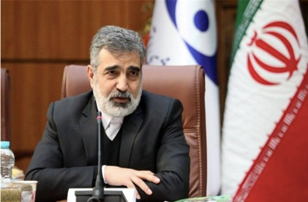 IAEA giám sát việc tiếp nhiên liệu cho nhà máy điện hạt nhân Bushehr của Iran