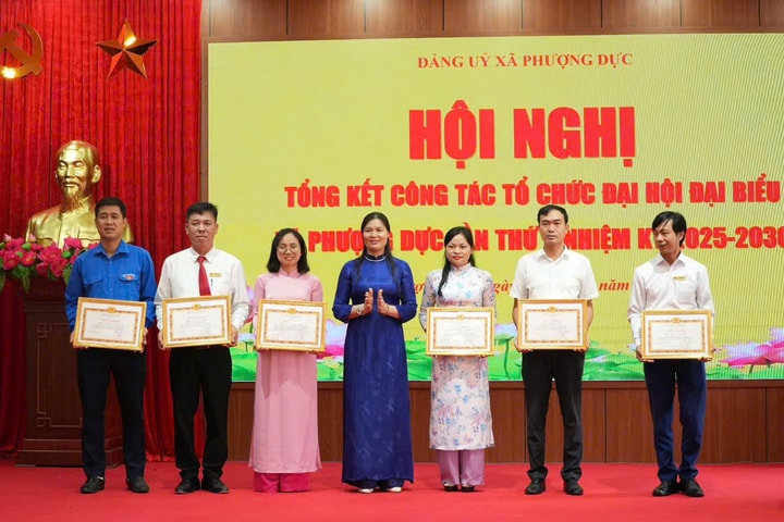 46 đảng viên xã Phượng Dực vinh dự đón nhận Huy hiệu Đảng đợt 2-9