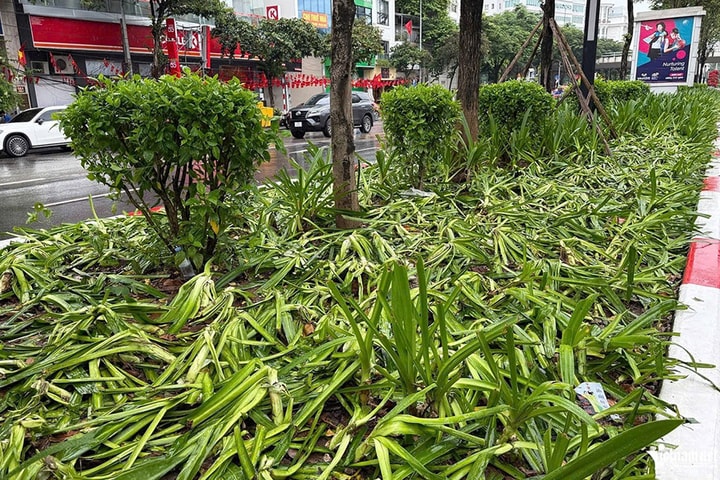 Cần thể hiện tình yêu nước một cách văn minh