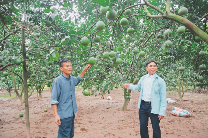 Nông nghiệp Hà Nội - 80 năm vươn mình mạnh mẽ