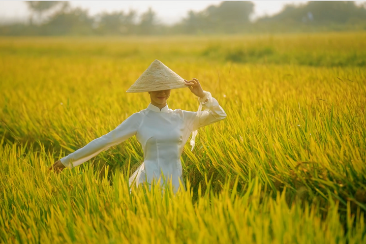 Dự án âm nhạc “Việt Nam ơi, cùng bước tới tương lai” khắc hoạ vẻ đẹp đất nước