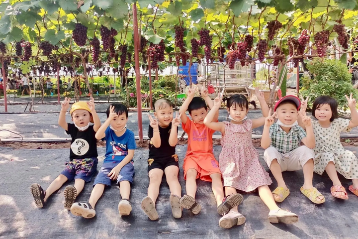 Nông nghiệp sinh thái: Kết nối đất đai, con người và thiên nhiên một cách bền vững