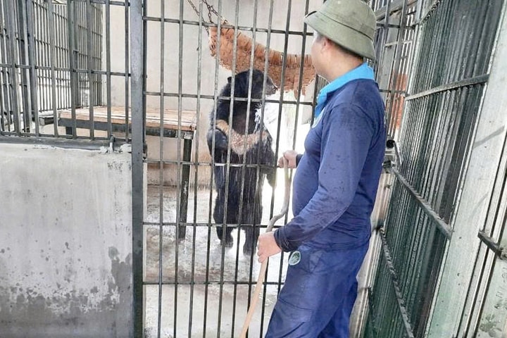 Trung tâm Cứu hộ động vật hoang dã Hà Nội: Nỗ lực bảo tồn đa dạng sinh học