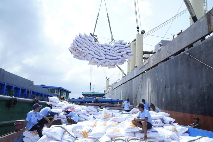 Tăng cường các giải pháp thúc đẩy sản xuất, xuất khẩu và ổn định thị trường gạo