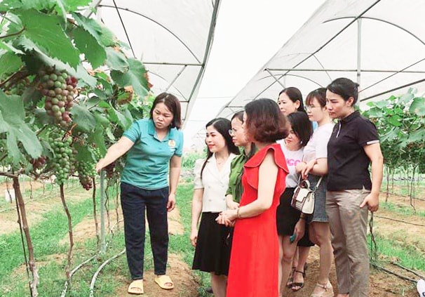 Xây dựng mô hình nông nghiệp mới thân thiện môi trường