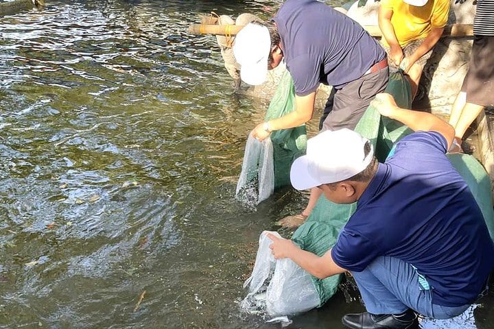 Phát triển nguồn lợi thủy sản theo hướng bền vững: Đồng bộ nhiều giải pháp