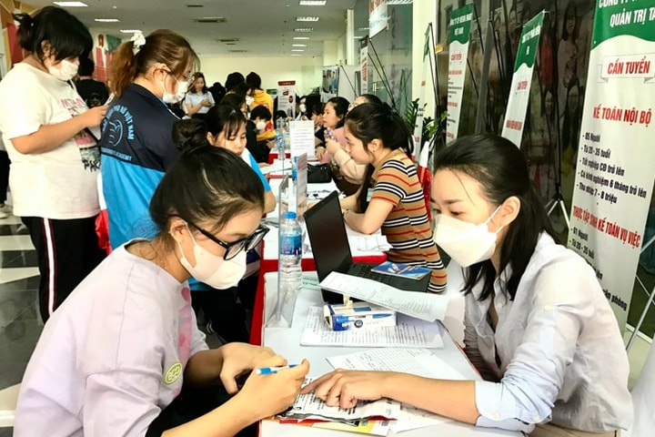Hà Nội ủy quyền giải quyết thủ tục lĩnh vực việc làm