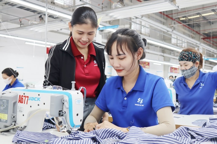 Triển vọng tuyển dụng ròng khu vực APME quý IV/2025 ổn định ở mức 28%