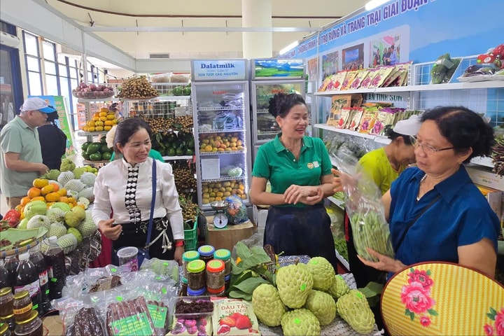 50 gian hàng tham gia phiên chợ nông sản, đặc sản vùng miền 2025
