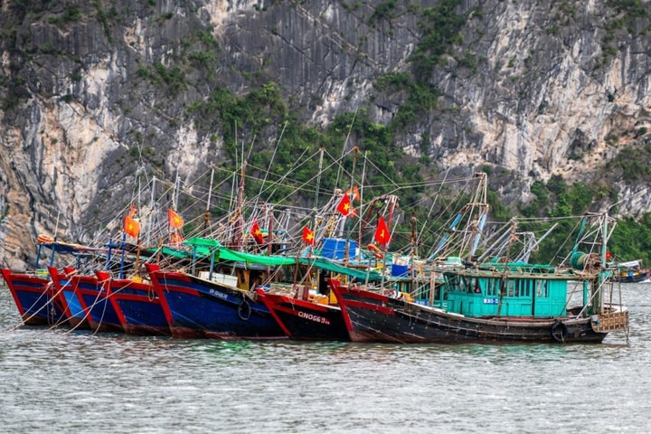Quảng Ninh chủ động ứng phó với bão số 8 trên Biển Đông