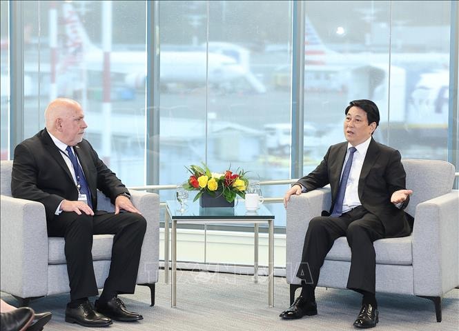 Chủ tịch nước Lương Cường tiếp Chủ tịch Tập đoàn Costco