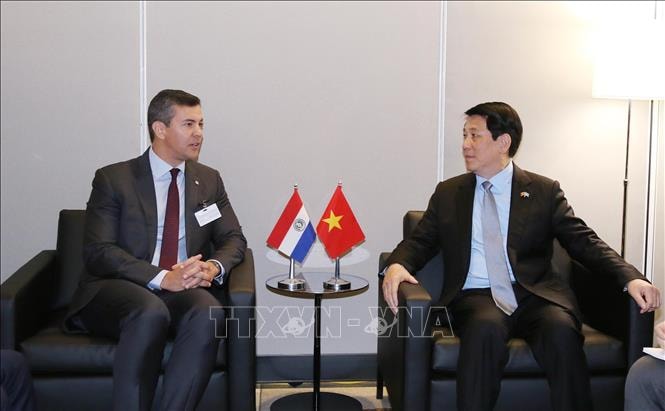 Chủ tịch nước Lương Cường gặp Tổng thống Paraguay Santiago Peña Palacios