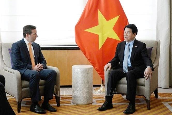 Chủ tịch nước Lương Cường tiếp Giám đốc điều hành Quỹ Đầu tư Warburg Pincus