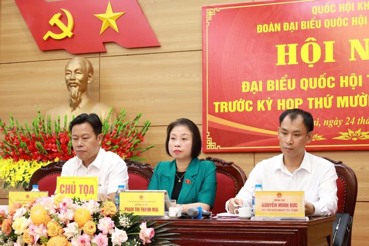 Cử tri 16 xã, phường kiến nghị về đất đai, hạ tầng, an ninh trật tự