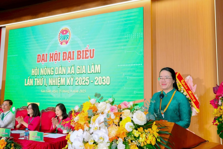 Gia Lâm, Liên Minh tổ chức thành công Đại hội đại biểu Hội Nông dân xã