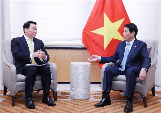 Chủ tịch nước Lương Cường tiếp Chủ tịch Tập đoàn SK Group