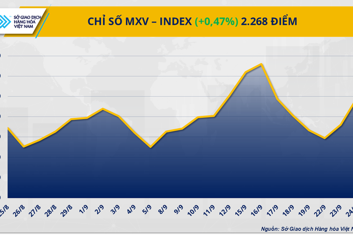 Lực mua áp đảo, MXV-Index xanh phiên thứ ba liên tiếp