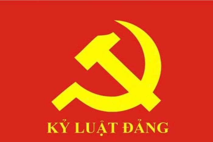 Bộ Chính trị, Ban Bí thư thi hành kỷ luật các tập thể, cá nhân vi phạm