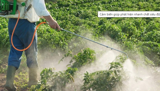 Cảm biến giúp phát hiện nhanh thuốc diệt cỏ độc hại