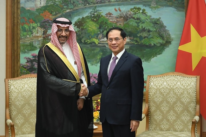Phó Thủ tướng Bùi Thanh Sơn tiếp Bộ trưởng Công nghiệp và Khoáng sản Saudi Arabia