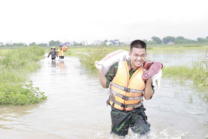 Xã Đa Phúc: Khoảng 350 bộ đội, dân quân hỗ trợ người dân thu hoạch lúa chạy lũ