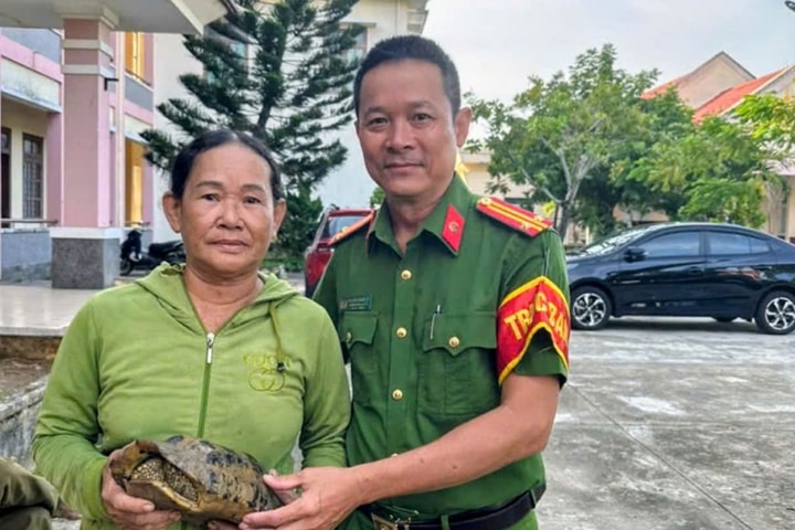 Đà Nẵng: Người dân giao nộp rùa núi vàng quý hiếm nặng 2,2kg