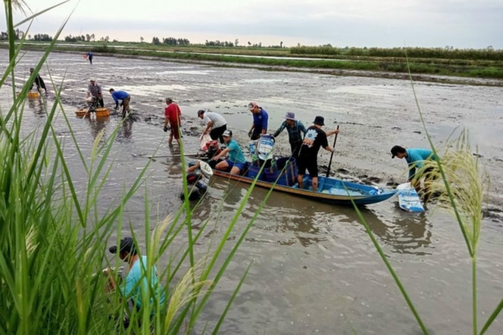 Giảm phát thải khí mê-tan tới từng vùng sinh thái và nhóm cây trồng