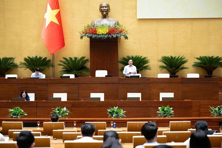 Quy định thẩm quyền tuyển dụng viên chức giữa các luật, nghị định "vênh" nhau