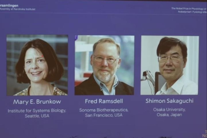 Giải Nobel Y sinh 2025 vinh danh phát minh về khả năng chữa trị ung thư