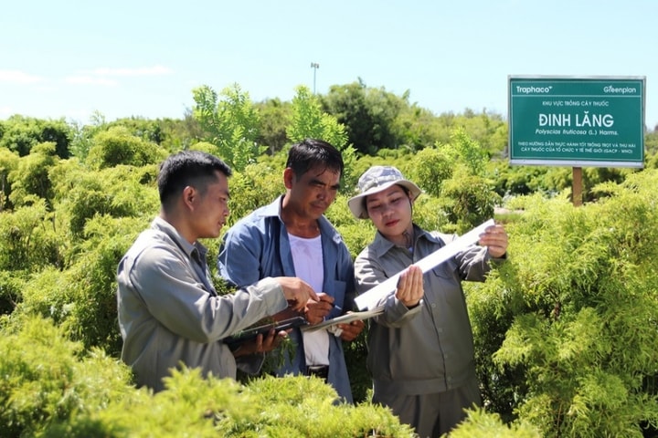 Cách lựa chọn, sử dụng đúng sản phẩm bổ não, hỗ trợ giấc ngủ