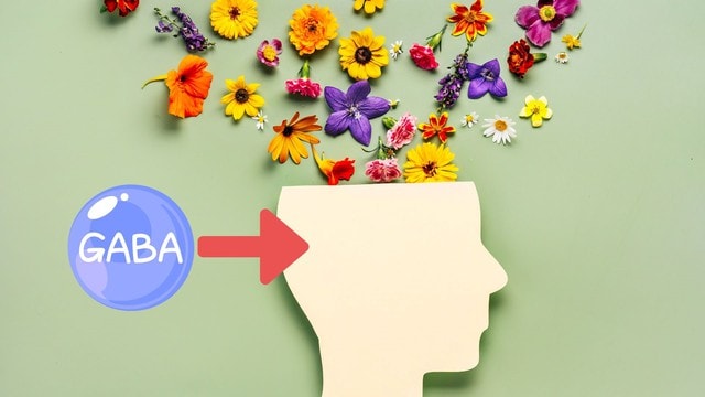 Những bước tiến trong nghiên cứu các sản phẩm hỗ trợ điều trị căng thẳng thần kinh, mất ngủ