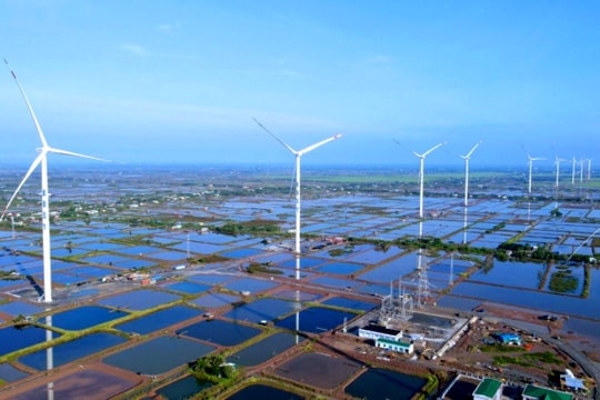 Đa dạng nguồn năng lượng xanh cho tương lai