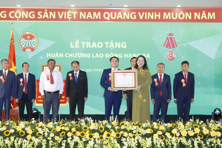 34 tập thể và 266 cá nhân được tôn vinh, khen thưởng nhân kỷ niệm 95 năm Ngày thành lập Hội Nông dân Việt Nam