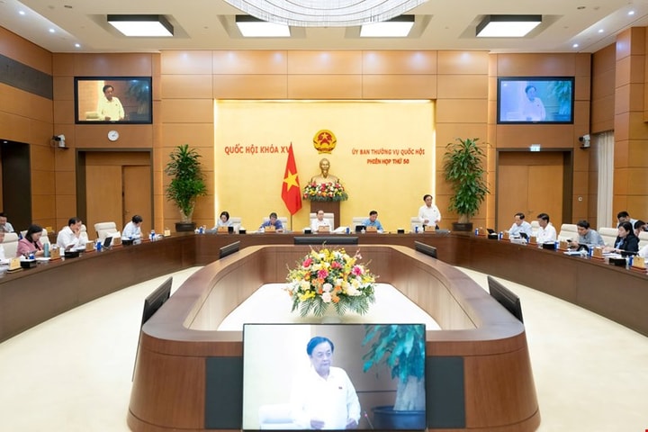 Đại biểu Quốc hội băn khoăn về quản lý đất hiếm