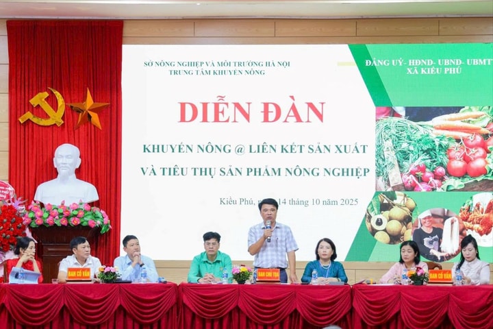 Xã Kiều Phú thúc đẩy liên kết tiêu thụ sản phẩm nông nghiệp an toàn