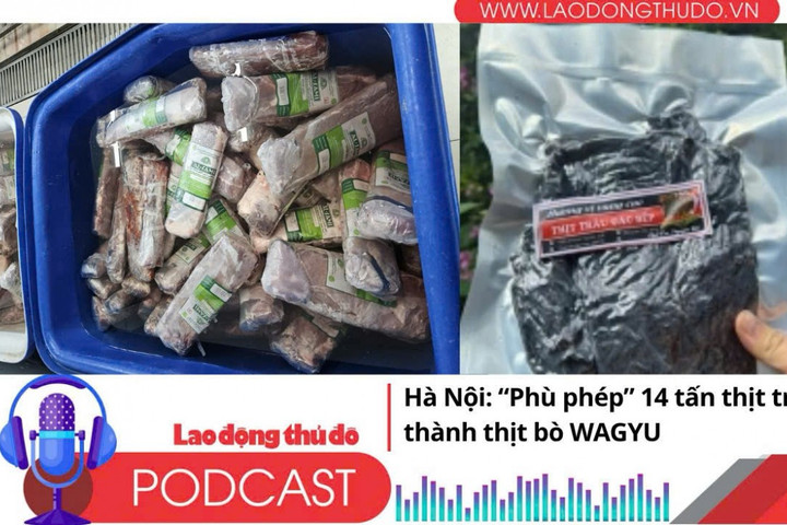 Điểm những tin nổi bật tối ngày 14/10/2025: Hà Nội: “Phù phép” 14 tấn thịt trâu thành thịt bò WAGYU