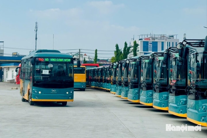 TP Hồ Chí Minh: Xem xét chuyển đổi công năng gần 100 xe buýt CNG đang "đắp chiếu"