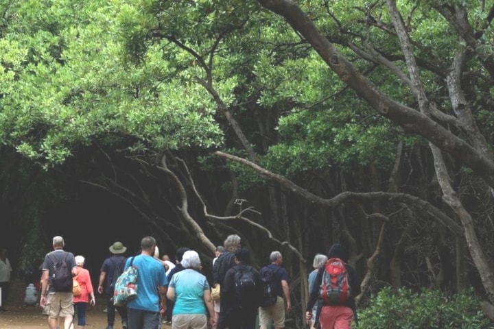 Thành phố Hồ Chí Minh sắp có tuyến tàu cao tốc từ bến Bạch Đằng đi Cần Giờ